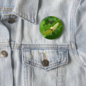 Brimstone Moth Button (Beispiel)
