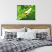 Brimstone Moth Canvas Print Leinwanddruck (Insitu (Schlafzimmer))