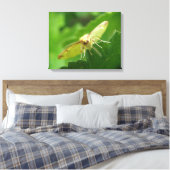 Brimstone Moth Canvas Print Leinwanddruck (Insitu (Schlafzimmer))