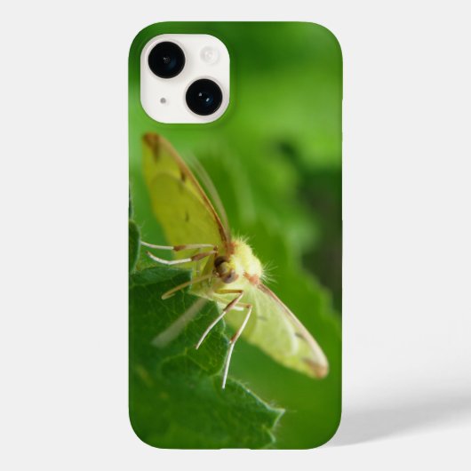 Brimstone Moth Case-Mate iPhone Hülle (Rückseite)