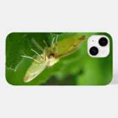 Brimstone Moth Case-Mate iPhone Hülle (Rückseite (Horizontal))