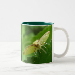Brimstone Moth Coffee Tasse