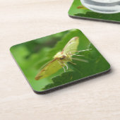 Brimstone Moth Cork Untersetzer (Linke Seite)