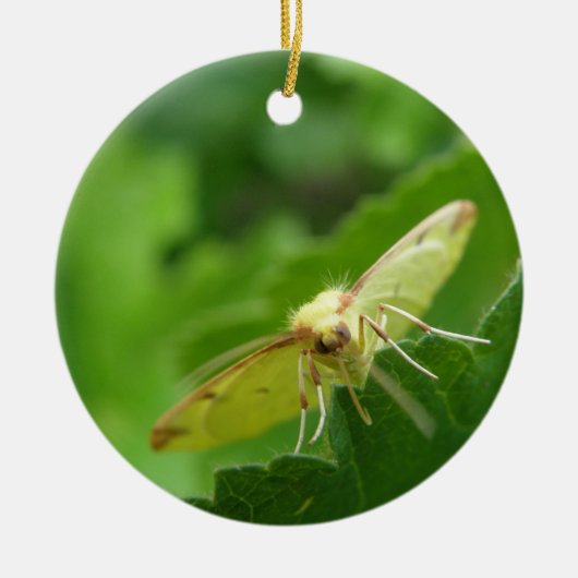 Brimstone Moth Custom Geburtstag Keramikornament (Vorne)