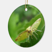 Brimstone Moth Custom Geburtstag Keramikornament (Links)