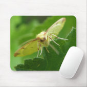 Brimstone Moth Mousepad (Mit Mouse)