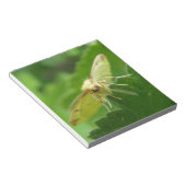 Brimstone Moth Notepad Notizblock (angewinkelt)