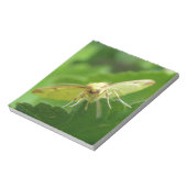 Brimstone Moth Notepad Notizblock (Rotiert)
