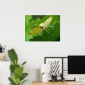 Brimstone Moth Print Poster (Heimbüro)