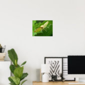 Brimstone Moth Print Poster (Heimbüro)