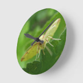 Brimstone Moth Wall Clock Runde Wanduhr (Winkel)