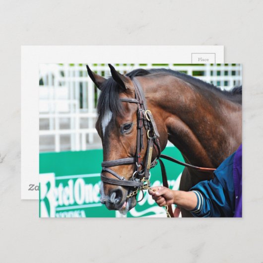 Brimstone Postkarte (Vorne/Hinten)