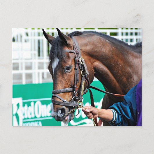 Brimstone Postkarte (Vorderseite)