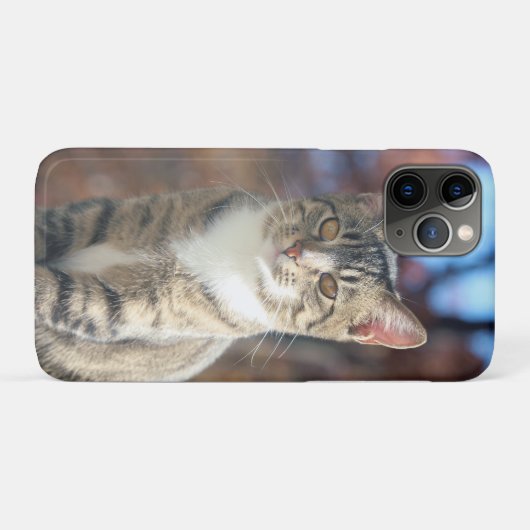 Brin Case-Mate iPhone Hülle (Rückseite (Horizontal))