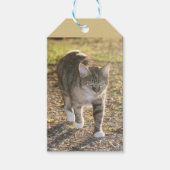 Brin Geschenkanhänger (Vorderseite)