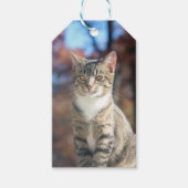 Brin Geschenkanhänger (Vorderseite)