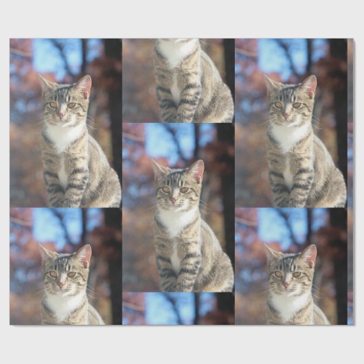 Brin Geschenkpapier (Flach)