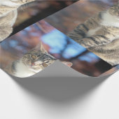 Brin Geschenkpapier (Ecke)