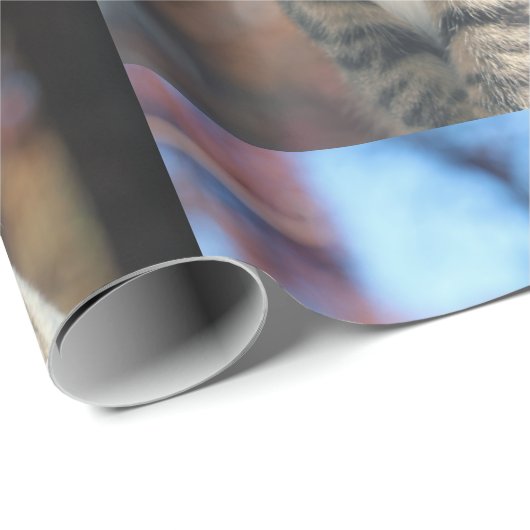 Brin Geschenkpapier (Rolleneckpunkt)