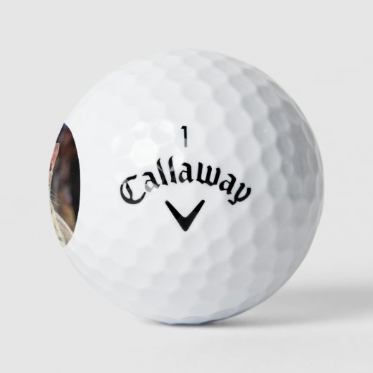 Brin Golfball (Logo)