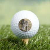 Brin Golfball (Insitu T-Shirt)