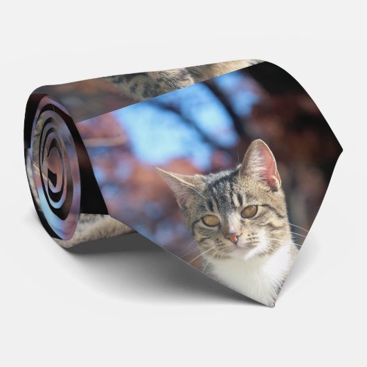 Brin Krawatte (Gerollt)