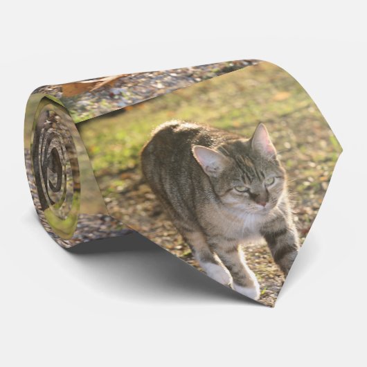 Brin Krawatte (Gerollt)