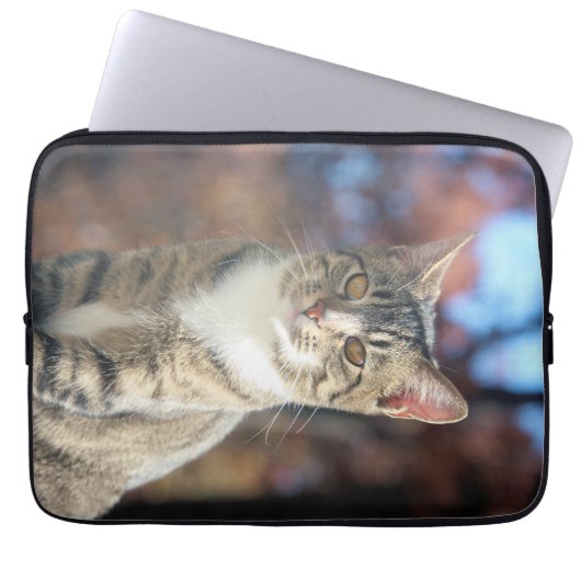 Brin Laptopschutzhülle (Vorderseite)