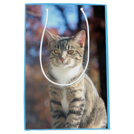 Brin Mittlere Geschenktüte (Vorderseite)