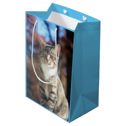 Brin Mittlere Geschenktüte (Rückseite Schrägansicht)