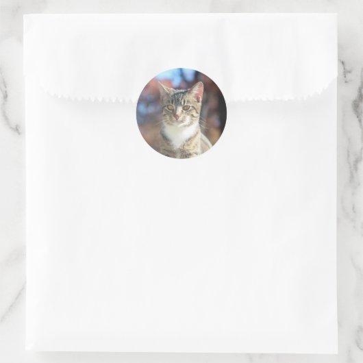 Brin Runder Aufkleber (Tasche)