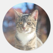 Brin Runder Aufkleber (Vorderseite)