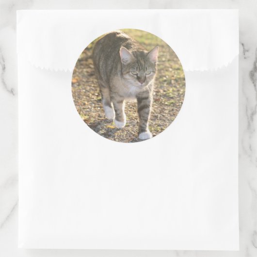 Brin Runder Aufkleber (Tasche)