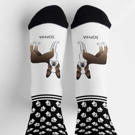 Brindle Boston Terrier mit Namen und Pasten Socken (Oben)
