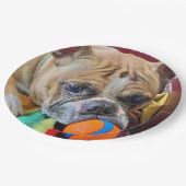 Brindle Boston Terrier Paper Plate Pappteller (Schrägansicht)