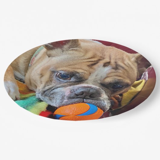 Brindle Boston Terrier Paper Plate Pappteller (Schrägansicht)