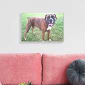 Brindle Boxer Dog Foto Wall Leinwand (Insitu (Wohnzimmer))