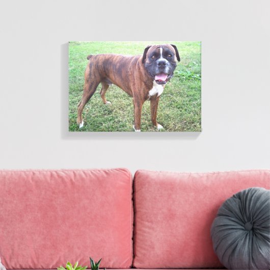 Brindle Boxer Dog Foto Wall Leinwand (Insitu (Wohnzimmer))