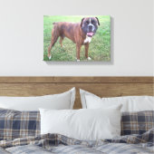 Brindle Boxer Dog Foto Wall Leinwand (Insitu (Schlafzimmer))