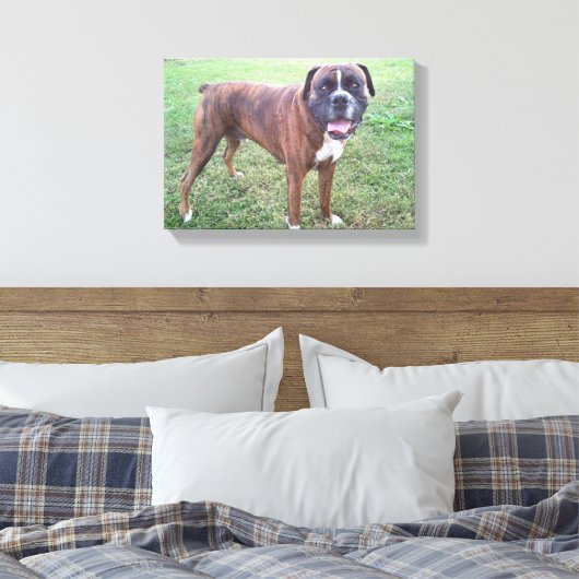 Brindle Boxer Dog Foto Wall Leinwand (Insitu (Schlafzimmer))