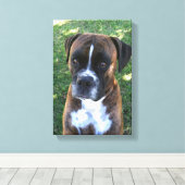Brindle Boxer Dog Foto Wall Leinwand (Insitu (Holzboden))