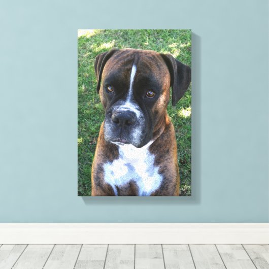 Brindle Boxer Dog Foto Wall Leinwand (Insitu (Holzboden))
