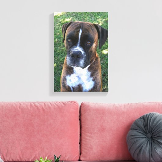 Brindle Boxer Dog Foto Wall Leinwand (Insitu (Wohnzimmer))