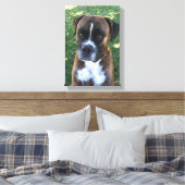 Brindle Boxer Dog Foto Wall Leinwand (Insitu (Schlafzimmer))
