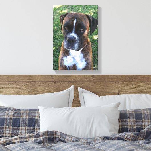Brindle Boxer Dog Foto Wall Leinwand (Insitu (Schlafzimmer))