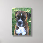 Brindle Boxer Dog Foto Wall Leinwand (Vorderseite)