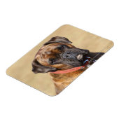 Brindle Boxer Dog Magnet (Linke Seite)