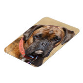 Brindle Boxer Dog Magnet (Linke Seite)