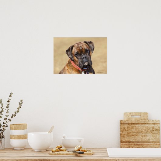 Brindle Boxer Dog Poster (Küche)