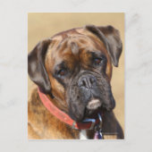 Brindle Boxer Dog Postkarte (Vorderseite)